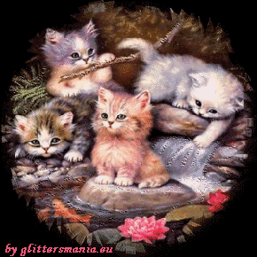 Gatti Gattini Mici E Micetti Su L Orablu